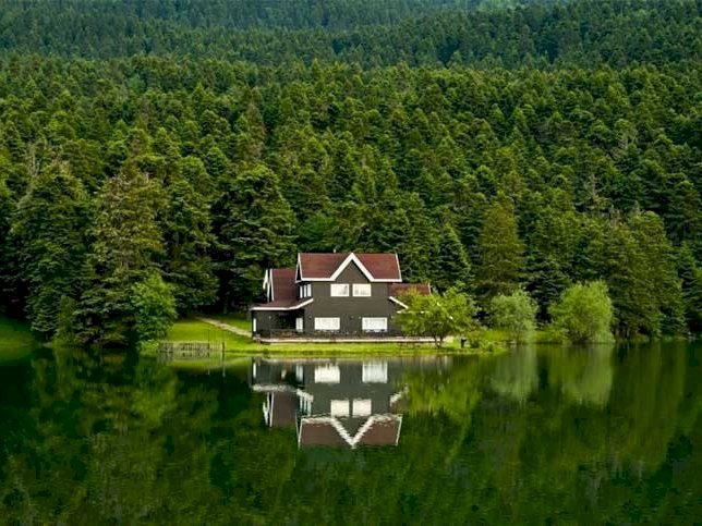 Samimi Huzur
