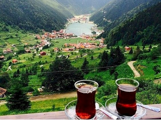 Edebiyat Öğretmenidir Herhalde
