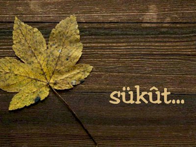 Sükût