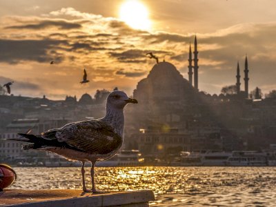 Benim Adım İstanbul